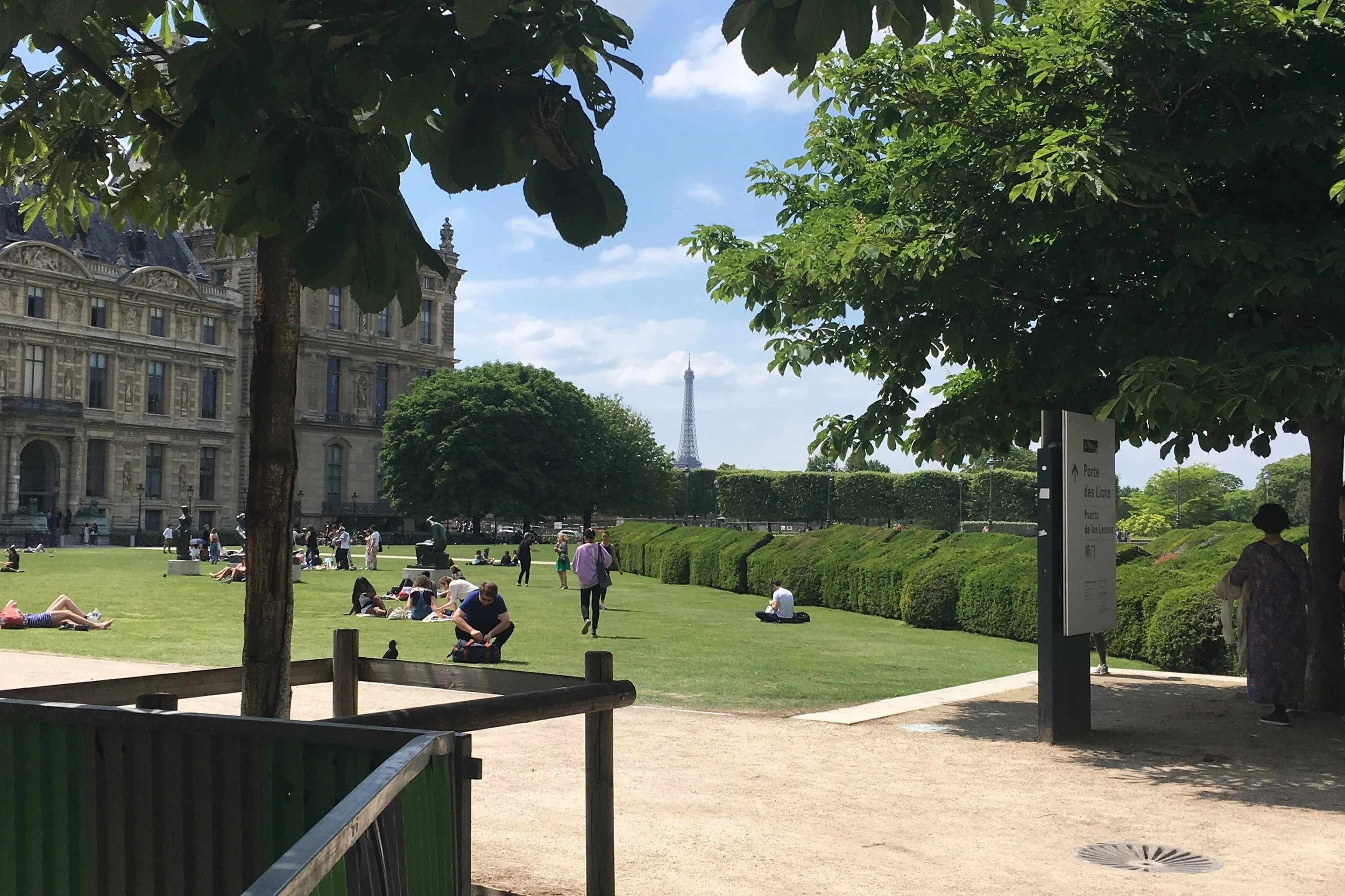 eiffel tower view from shady trees