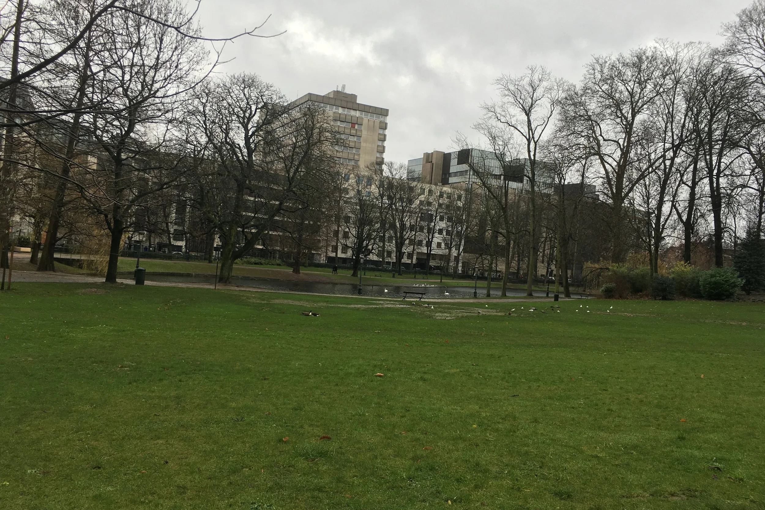 green park on rainy day