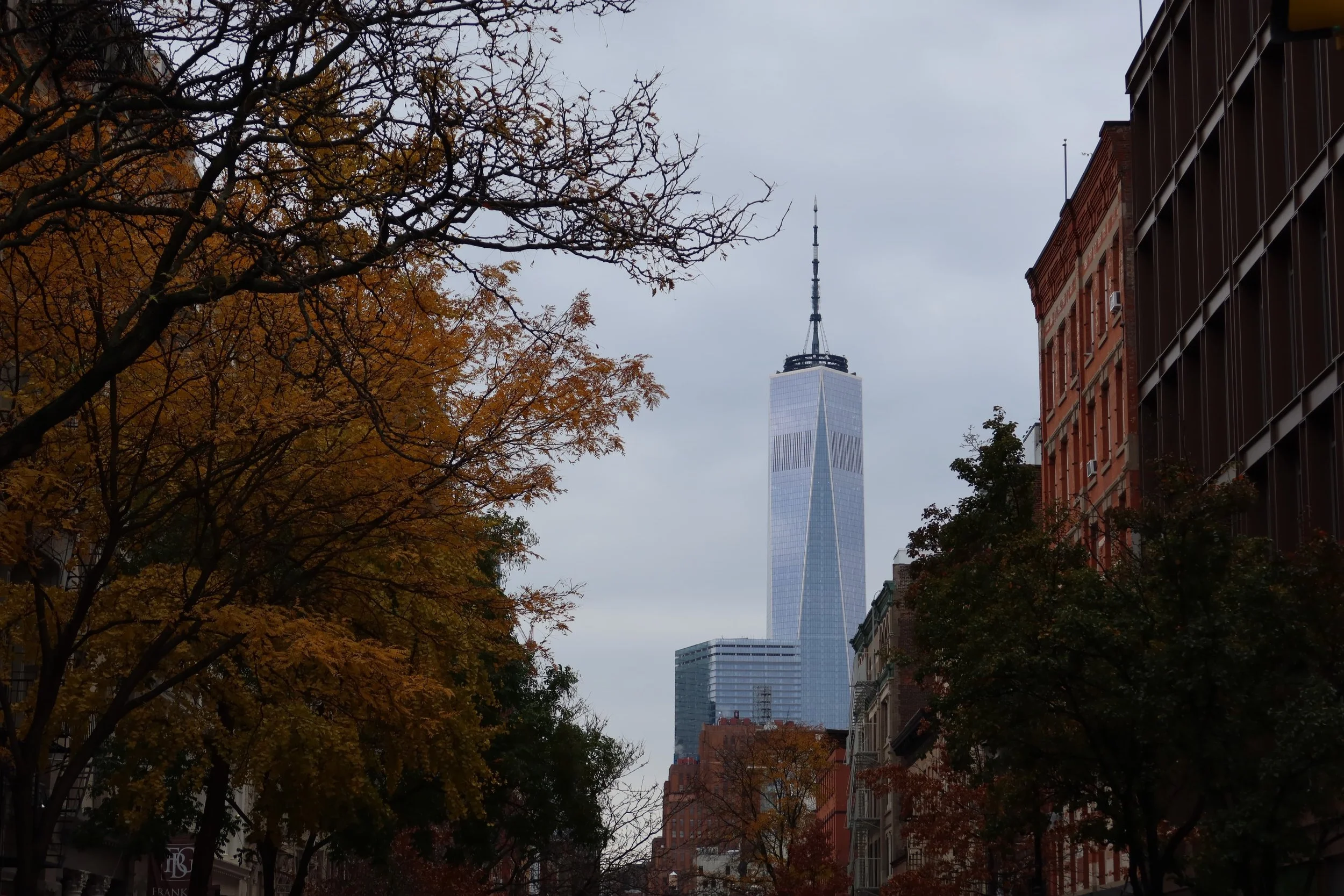 View of One World Trade Center in NYC in the fall