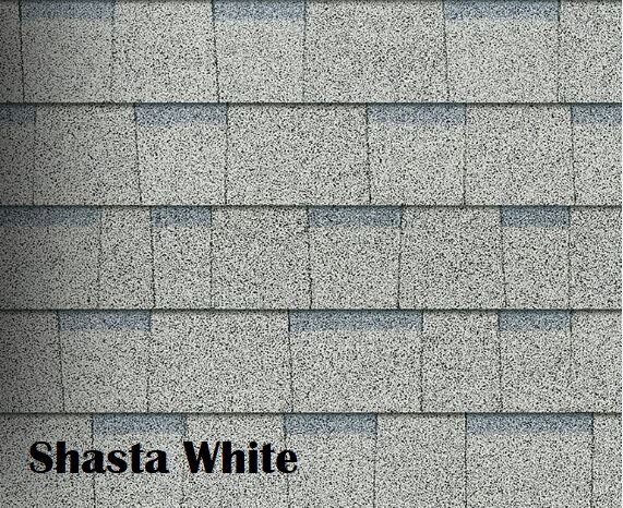 Shasta White.JPG