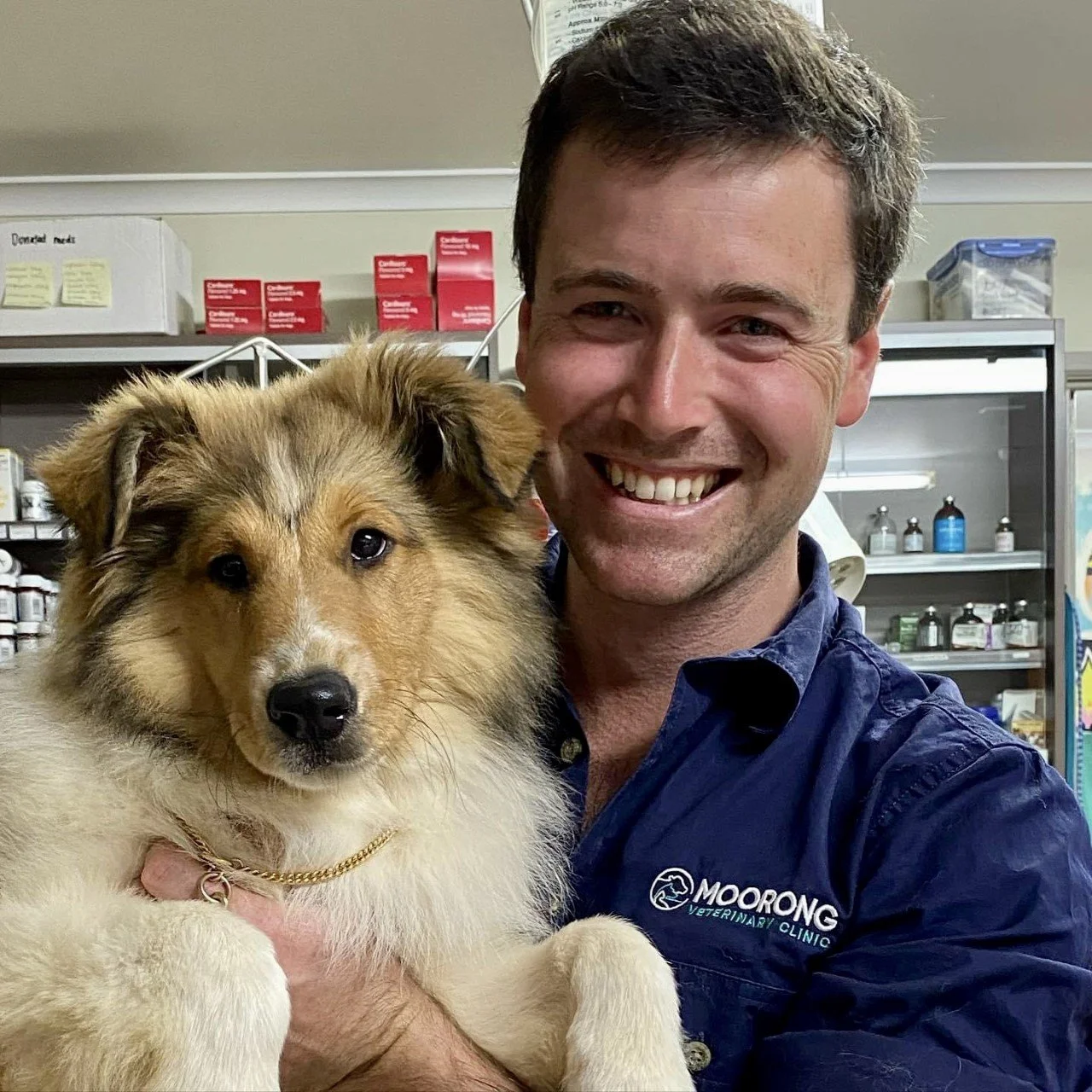About Us — Moorong Veterinary Clinic Wagga Wagga