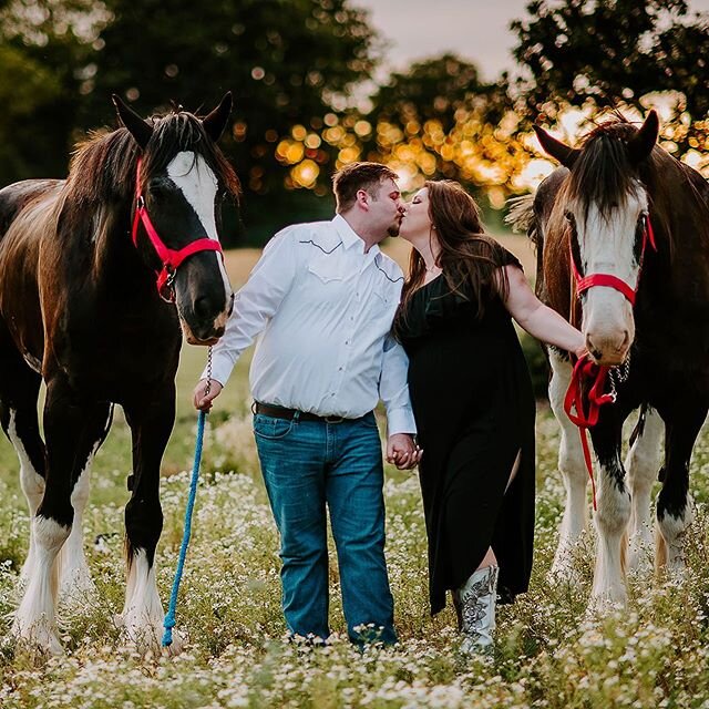 Last night was ‼️🔥‼️ not only did @traskmaster &amp; Chris slay their engagement photos but they did so on Nicoles family farm.  A place they hold dear to them and that has been in her family since they came here from Scotland in 1925 ... she grew u
