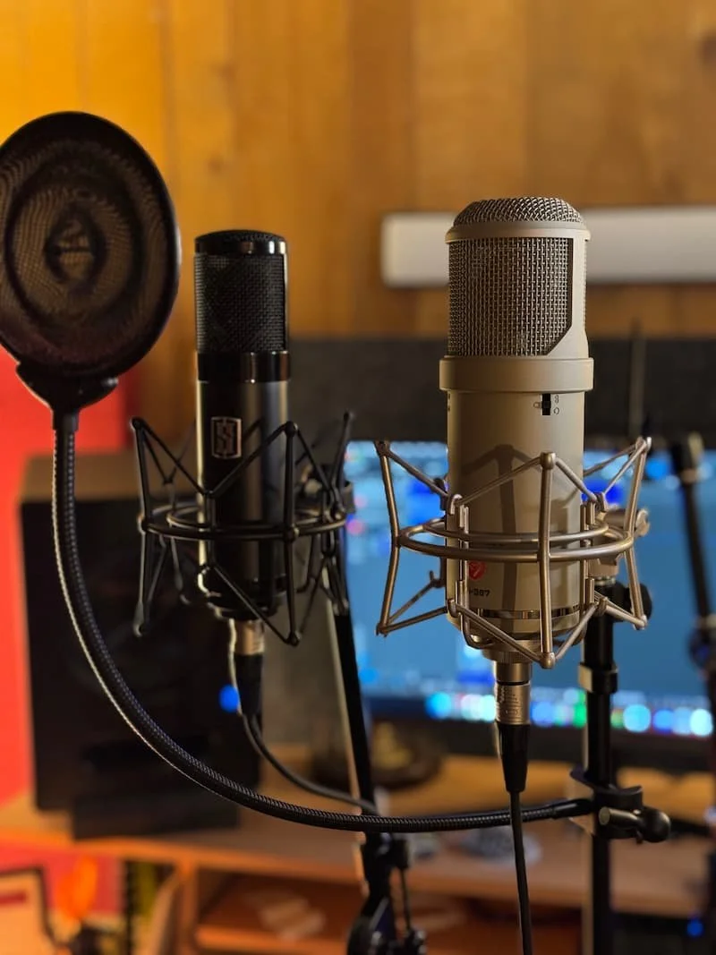 A pair of studio condenser microphones- for rental or recording vocals with Hunt The Sound