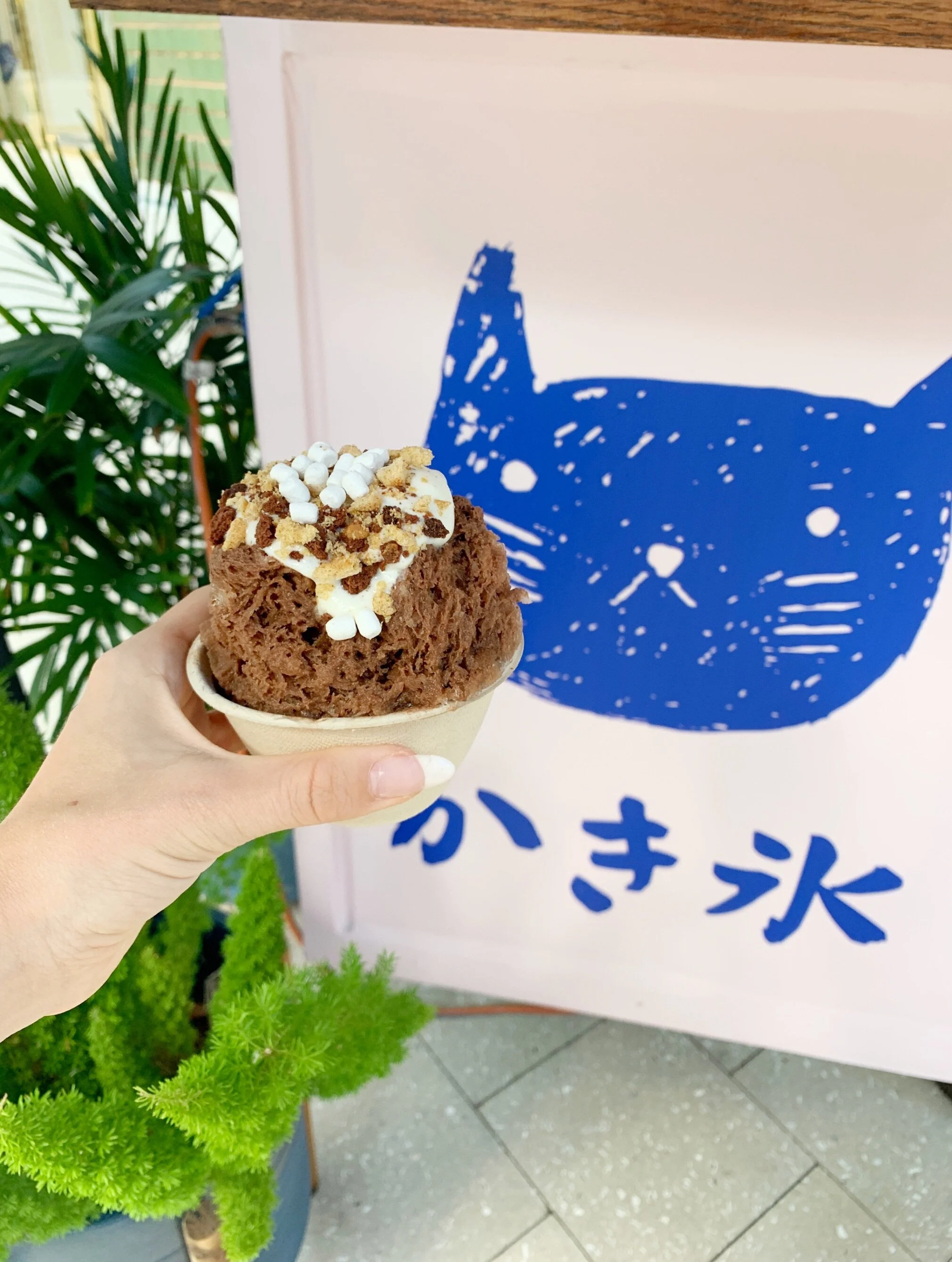 A New Design District Dessert Japow Kakigori Ballerina Babe