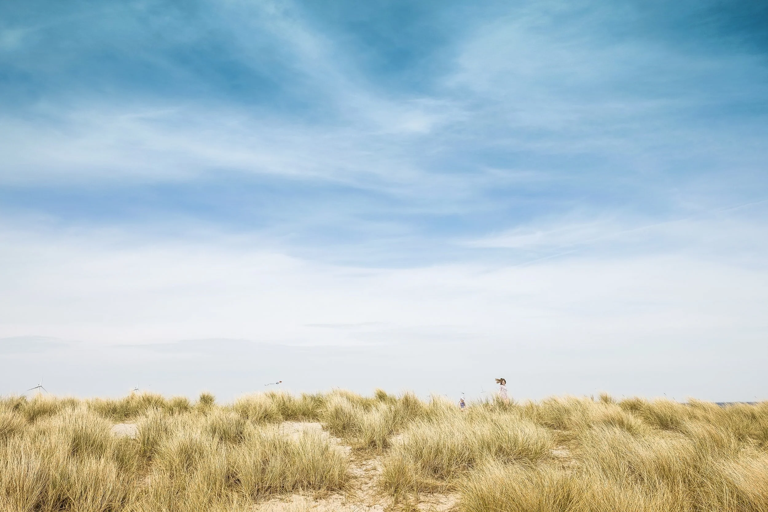 unsplash-image-pa3k0pUj-os.jpg