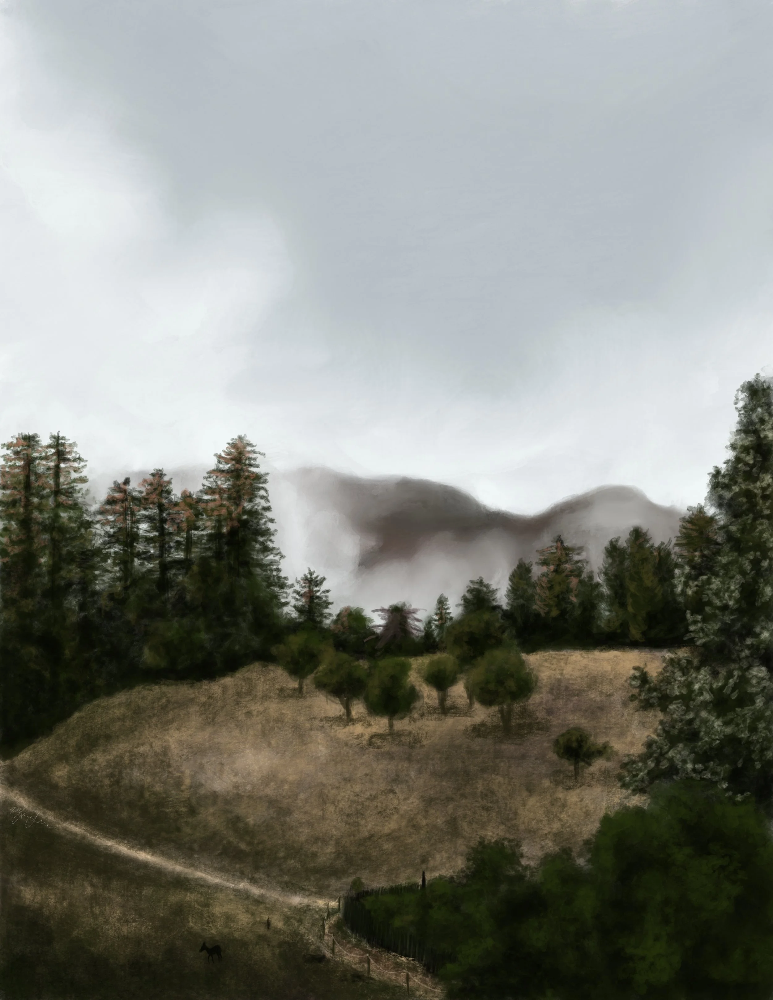 Big Sur Fog
