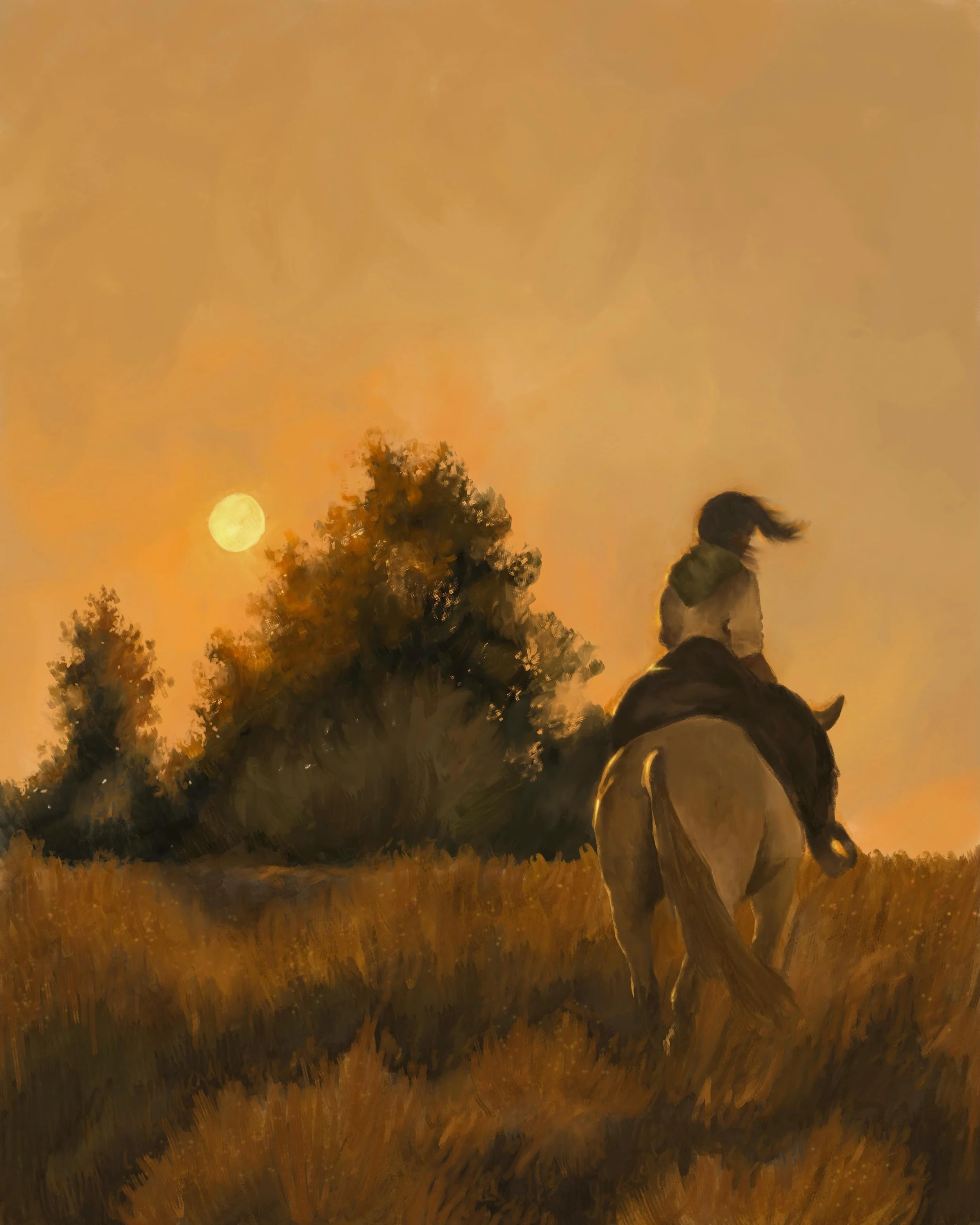 Having lots of fun playing with quiet light and golden hour hues ✨🌞✨