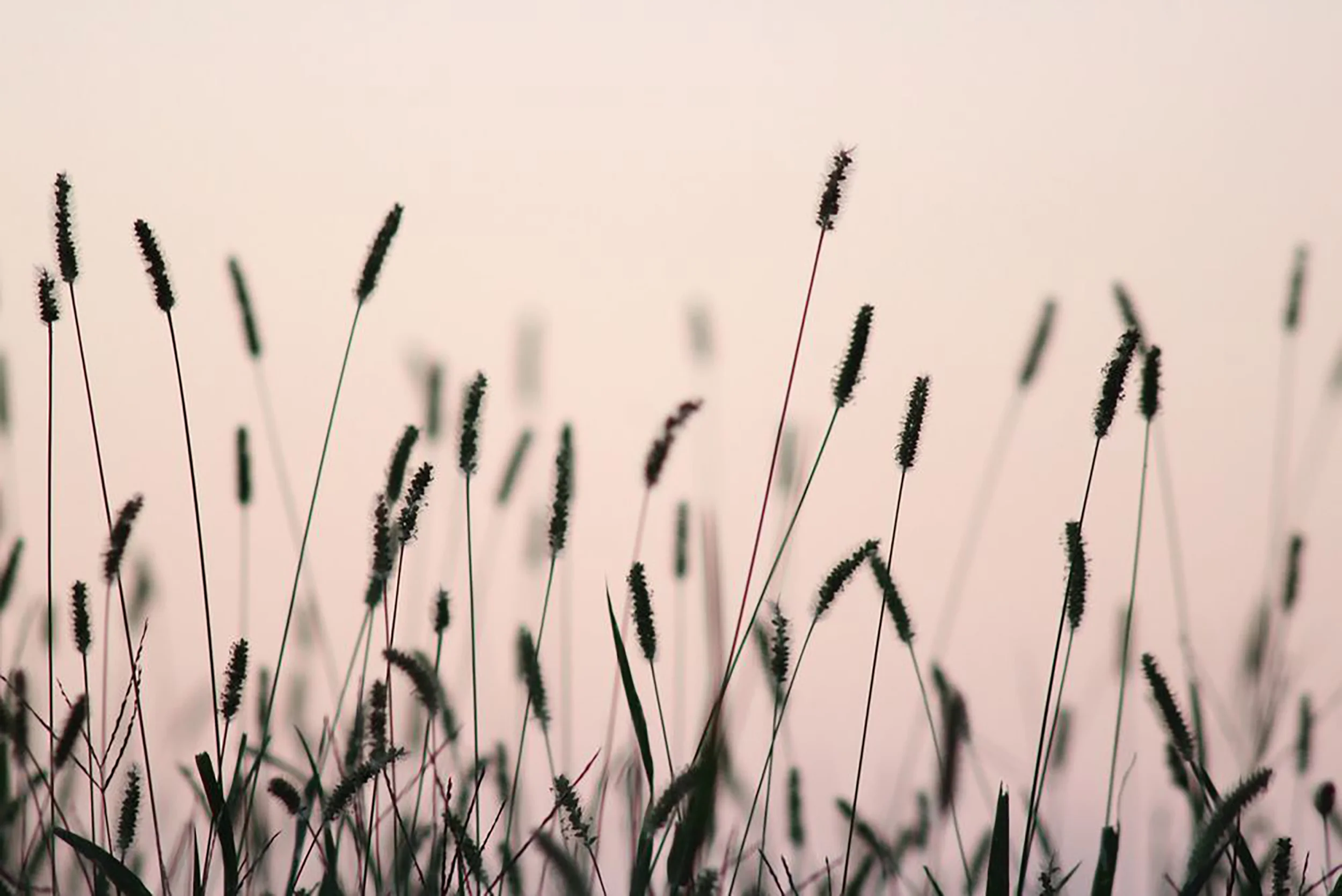 It Really Is AMAZING