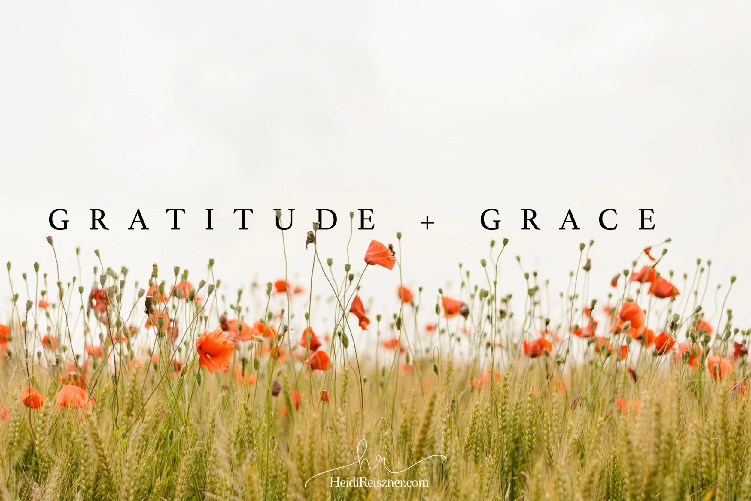 Gratitude + Grace