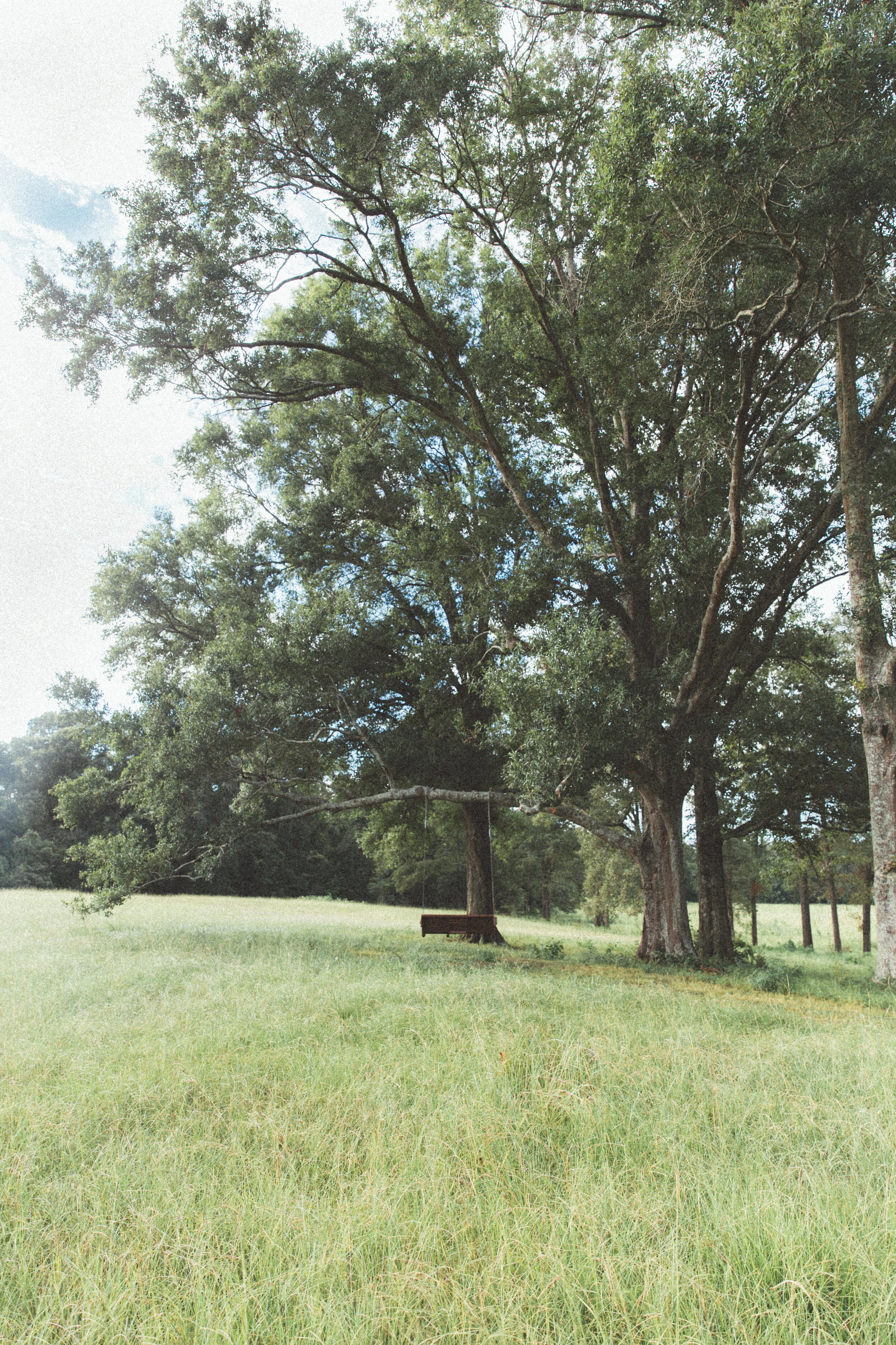 Week 2 - Green Pastures &amp; Quiet Waters