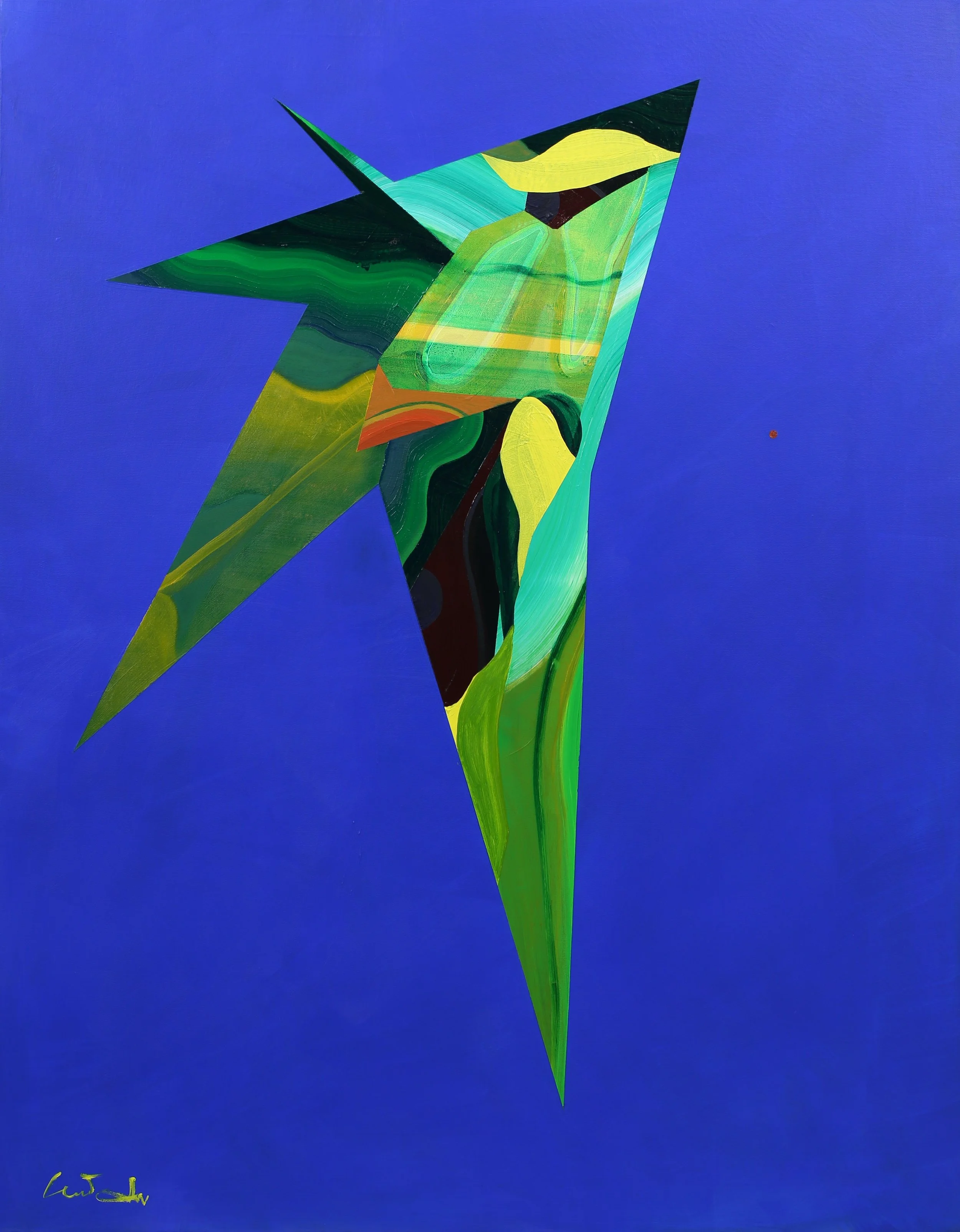 Coral 08