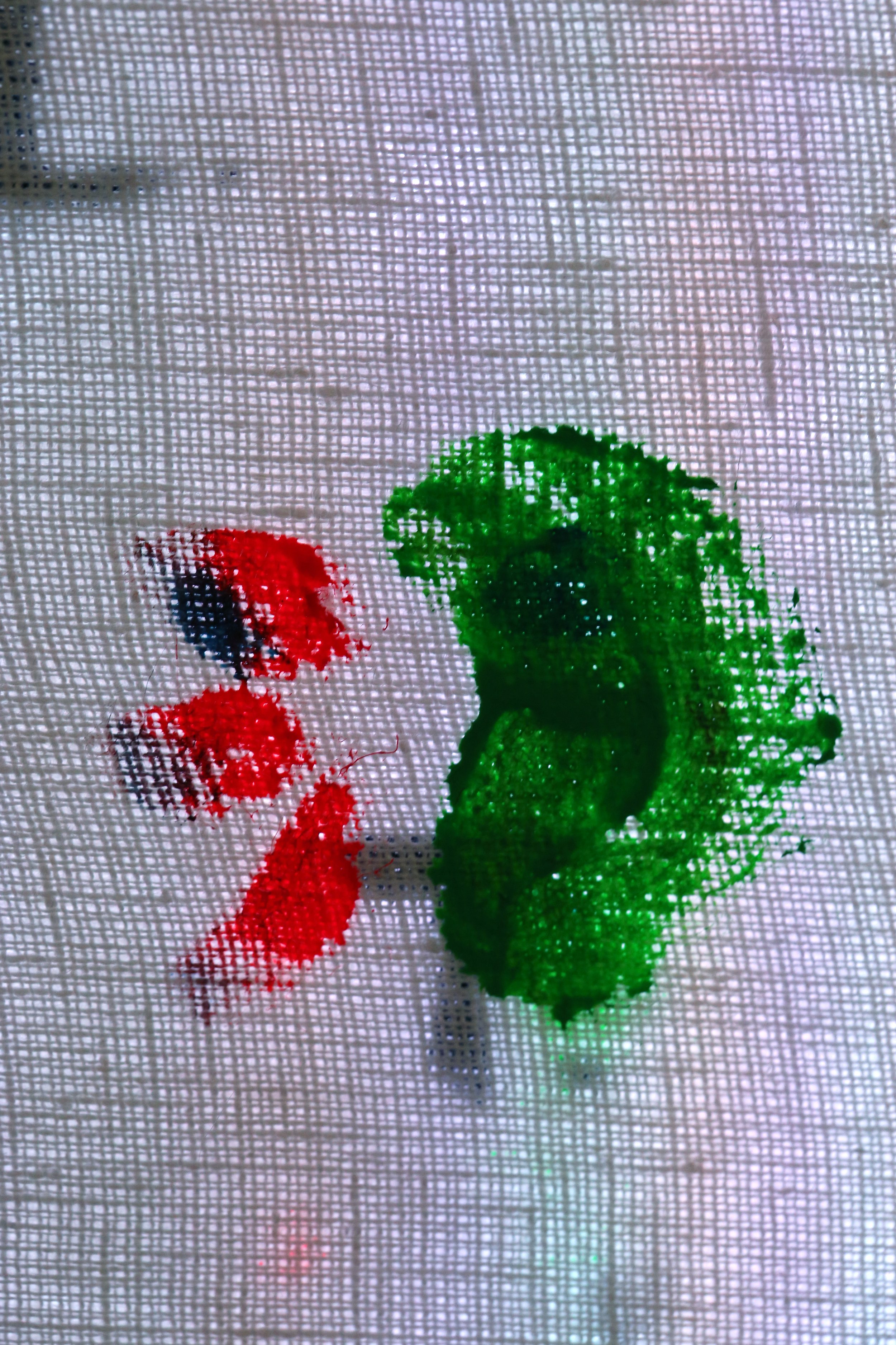  Detail 5 