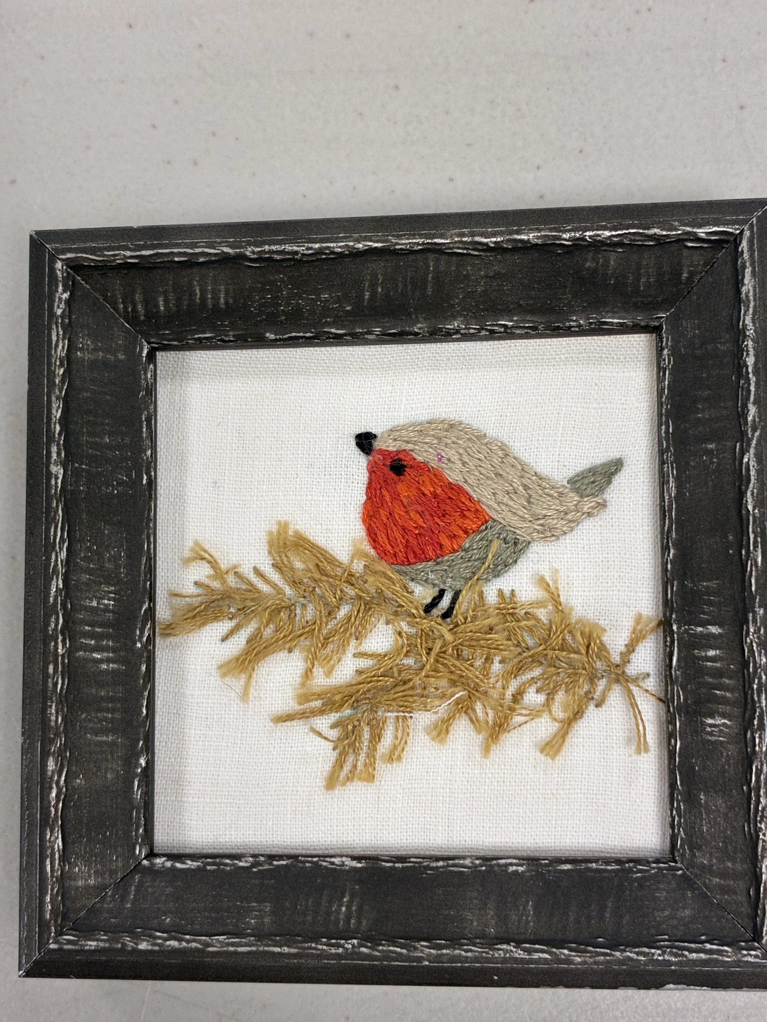 Robin by Elinor B
