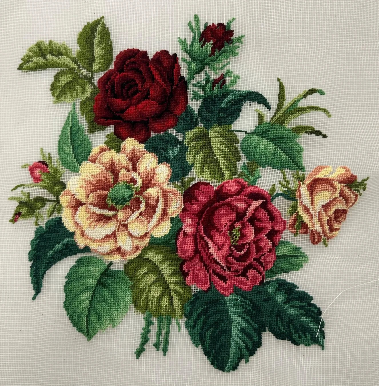 Roses