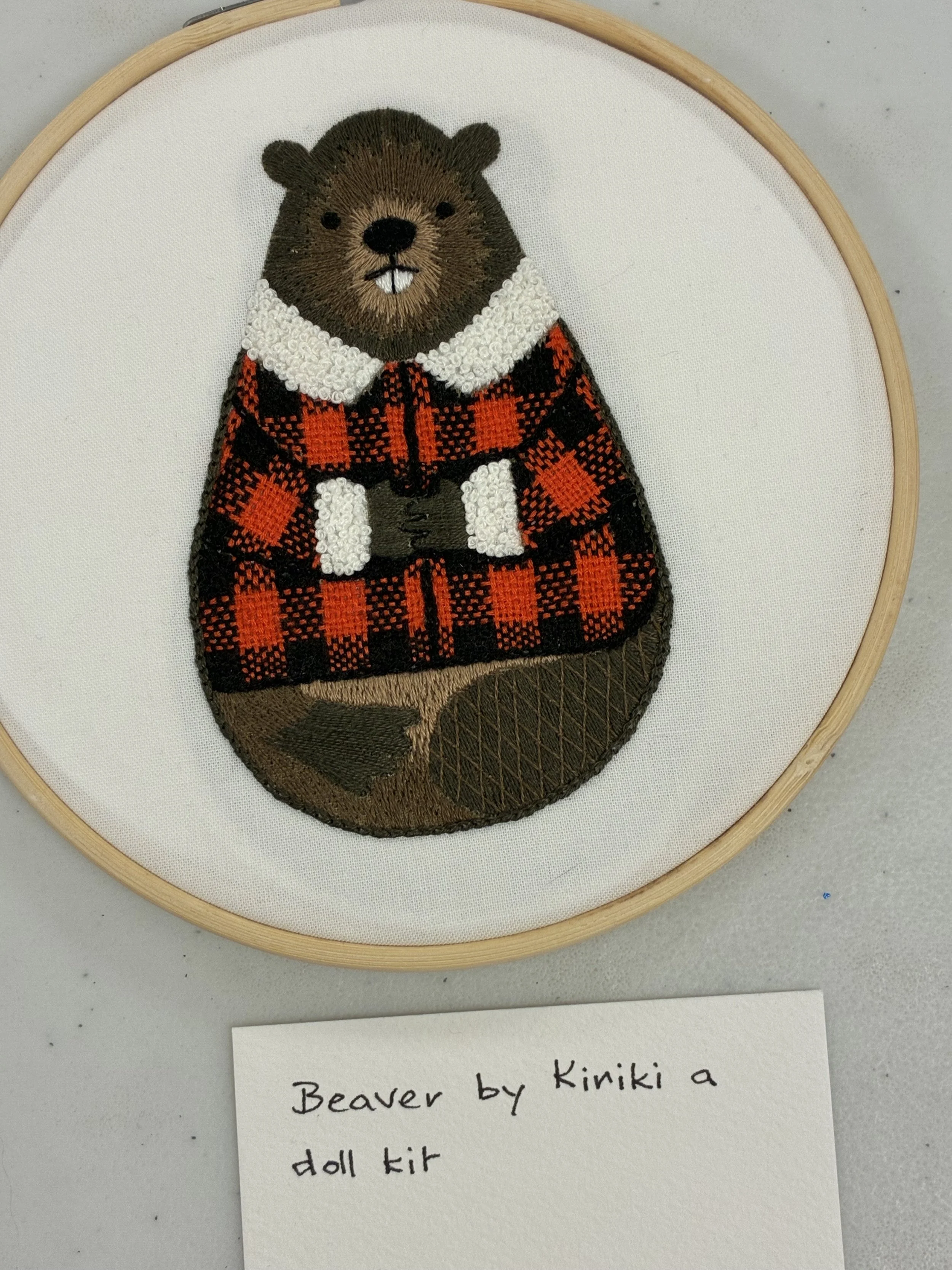 Beaver by Stephanie B