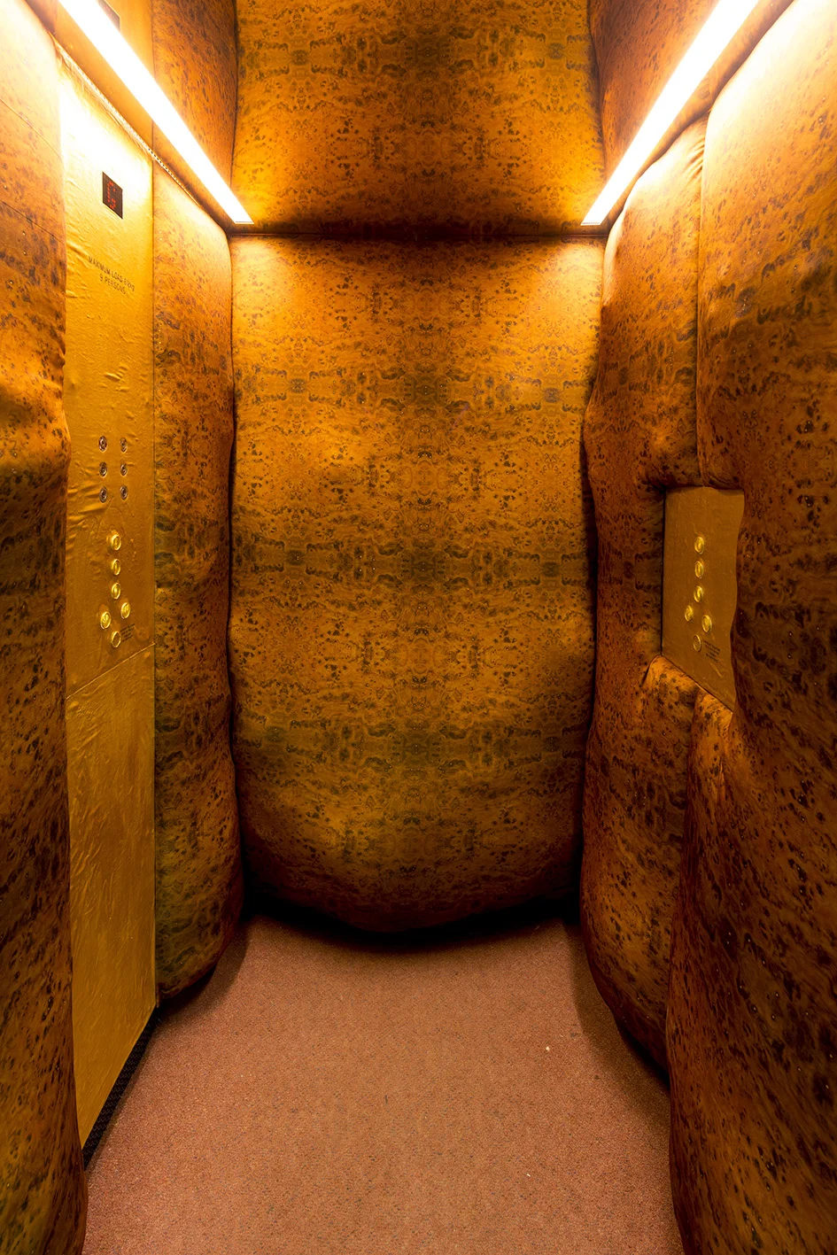   Chub,  installation detail, Artspace, Sydney, 2015. Photographer:  Zan Wimberley.  