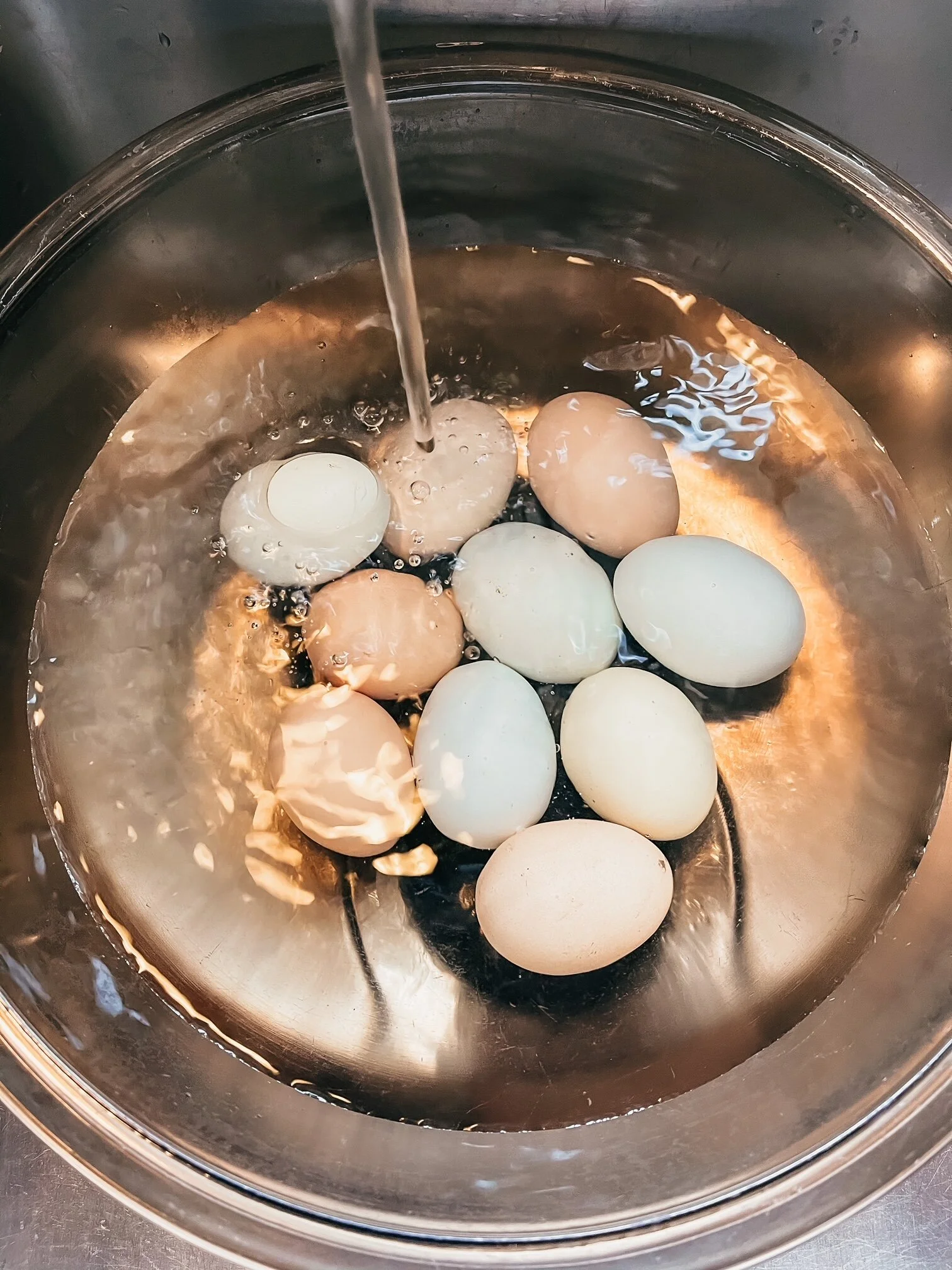Everything You Need To Know About Farm Fresh Eggs — Midwest Prime Farms