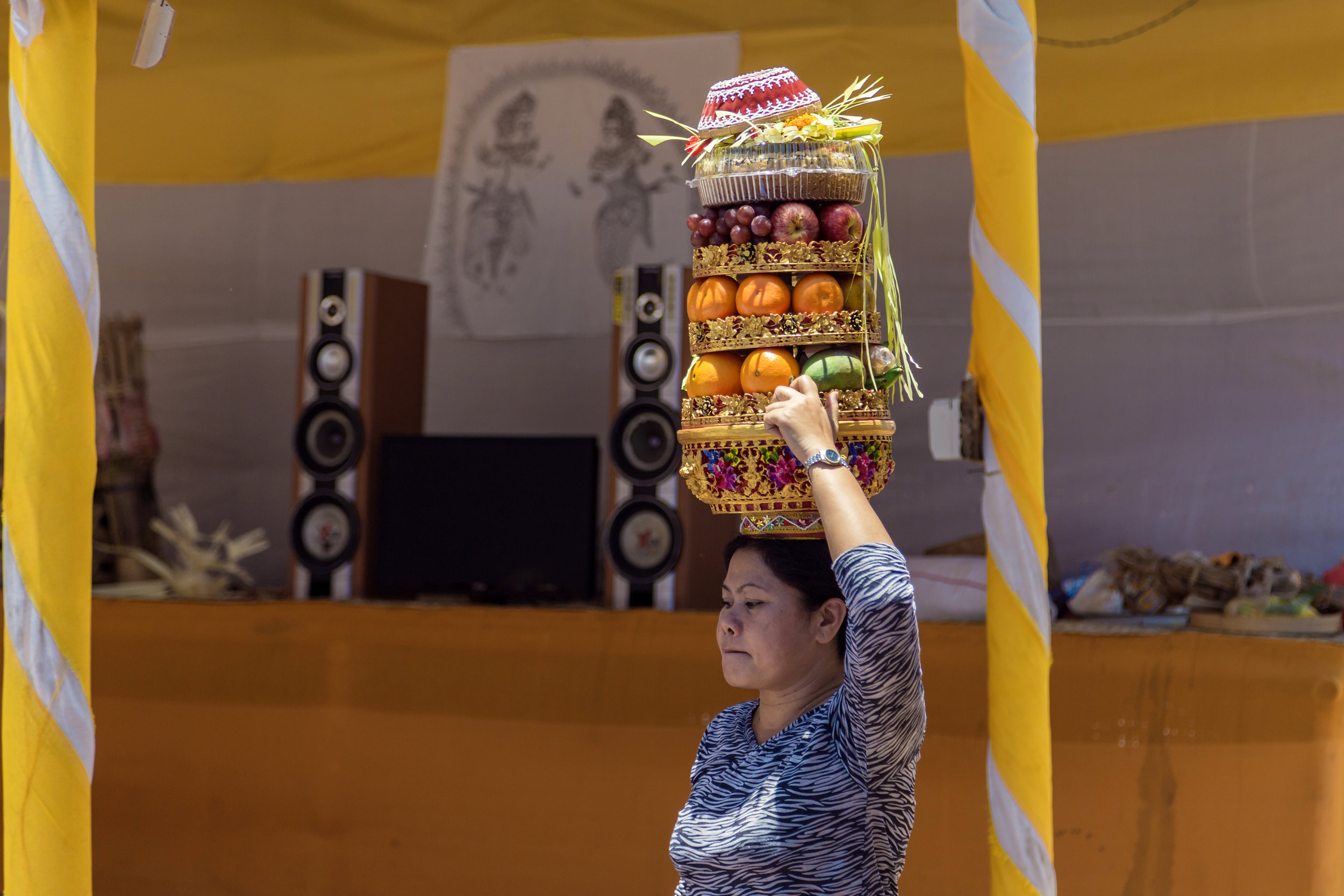 Sponsor Our Ground Team and Daily Expenses