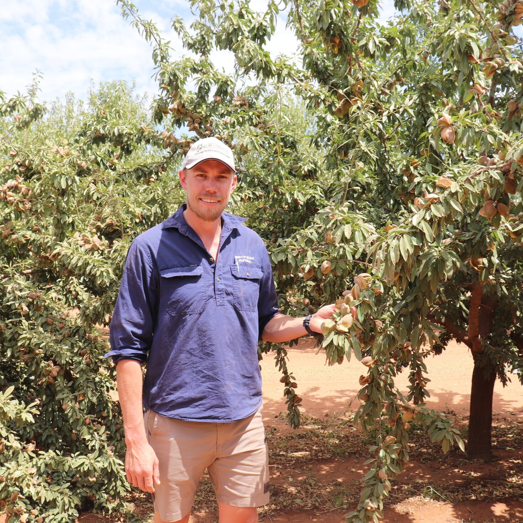 Almondco Season Update - Harvest 2020 with Luke Stoeckel