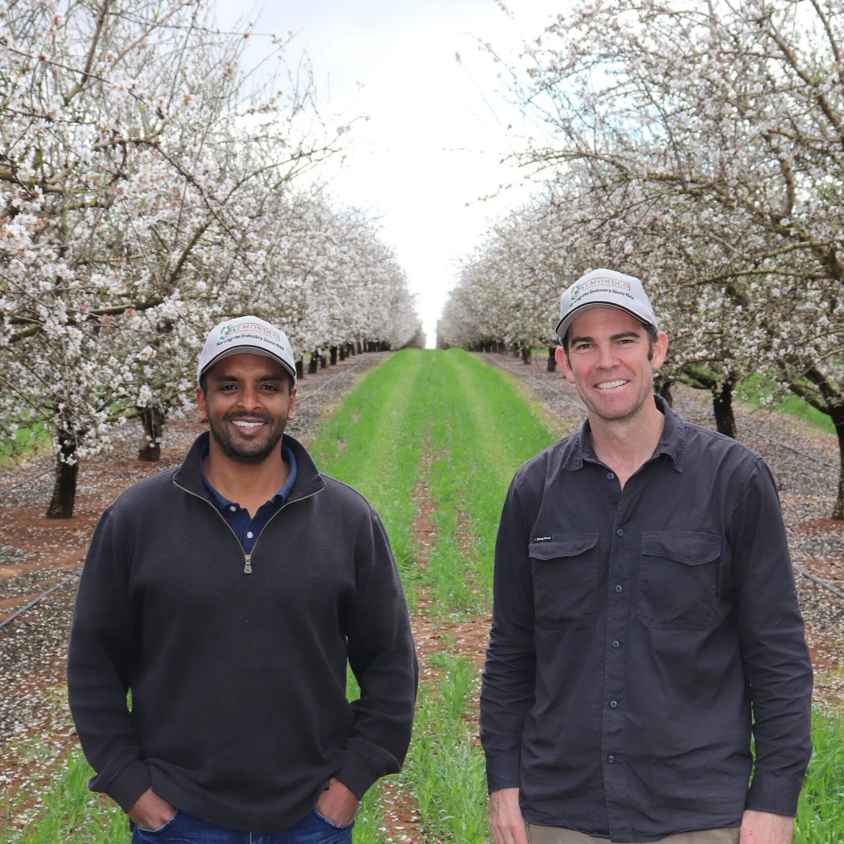Almondco Season Update - Bloom with Almondco Grower, Patrick Woods, August 2020, Nildottie, SA