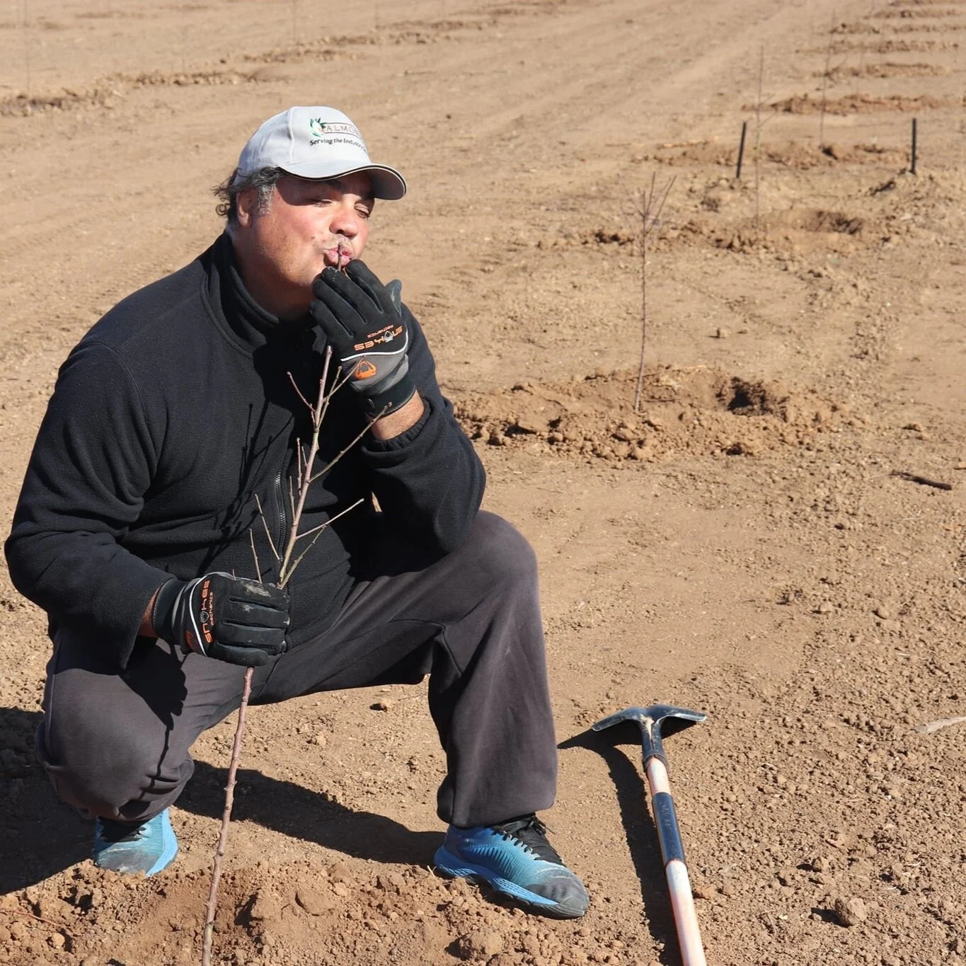 New Orchard Development with Almondco Grower, Jim Sourtzis, Renmark, South Australia