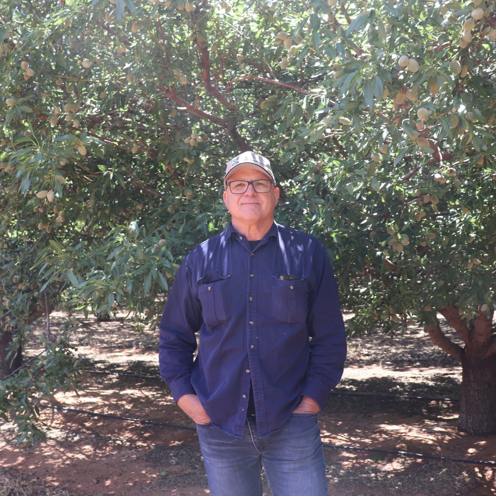 Almondco Season Update, November 2020, Pit Hardening with Almondco Grower, Rohan Frahn, Paringa, SA