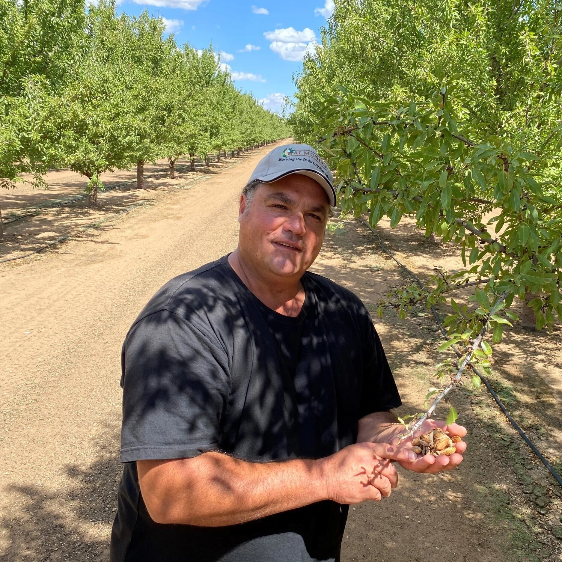 Harvest 2021 with Almondco Grower, Jim Sourtzis