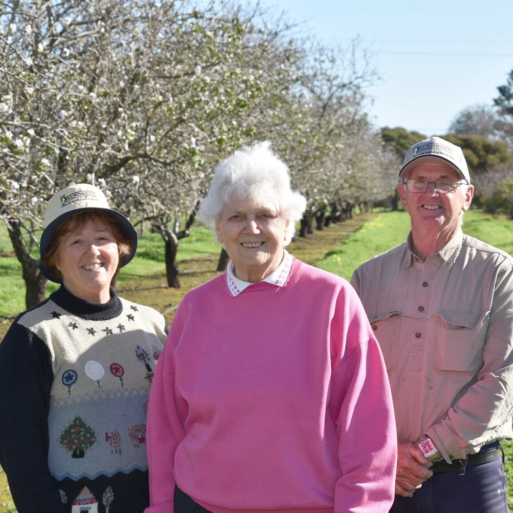 Willunga’s almond pioneers to close historic chapter