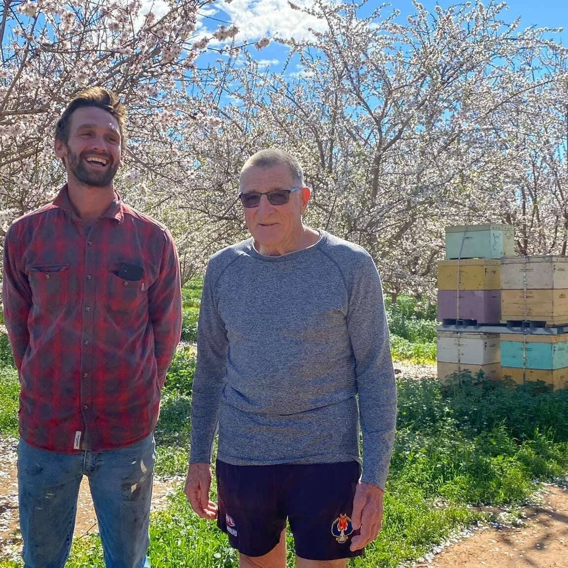 Bloom time at Begarra Almonds