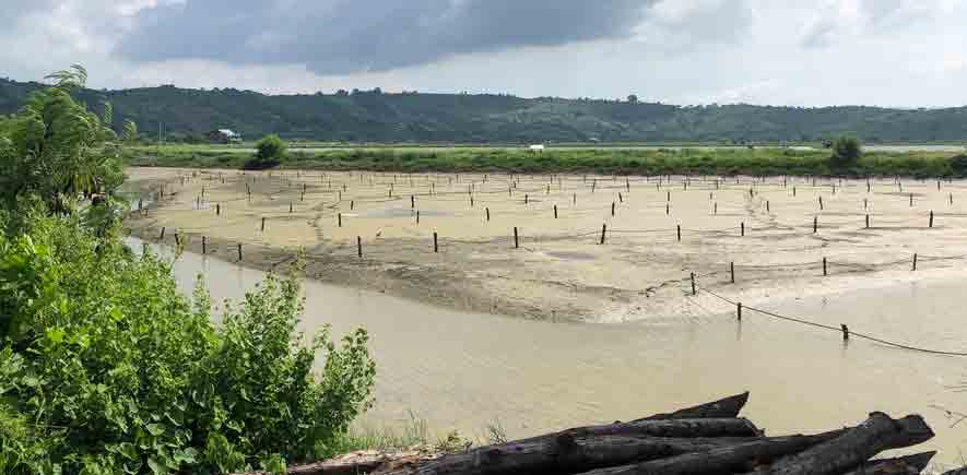 Submerged HDPE tubes distributed in a grow-out pond in Ecuador (1)