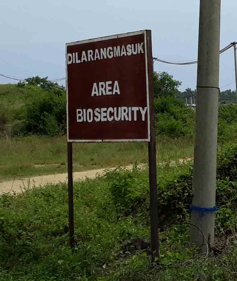 Biosecurity — HATCH global shrimp report
