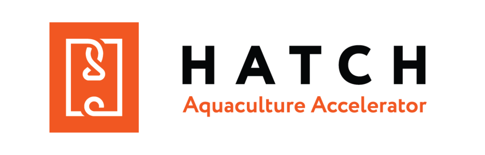 HATCH global shrimp report