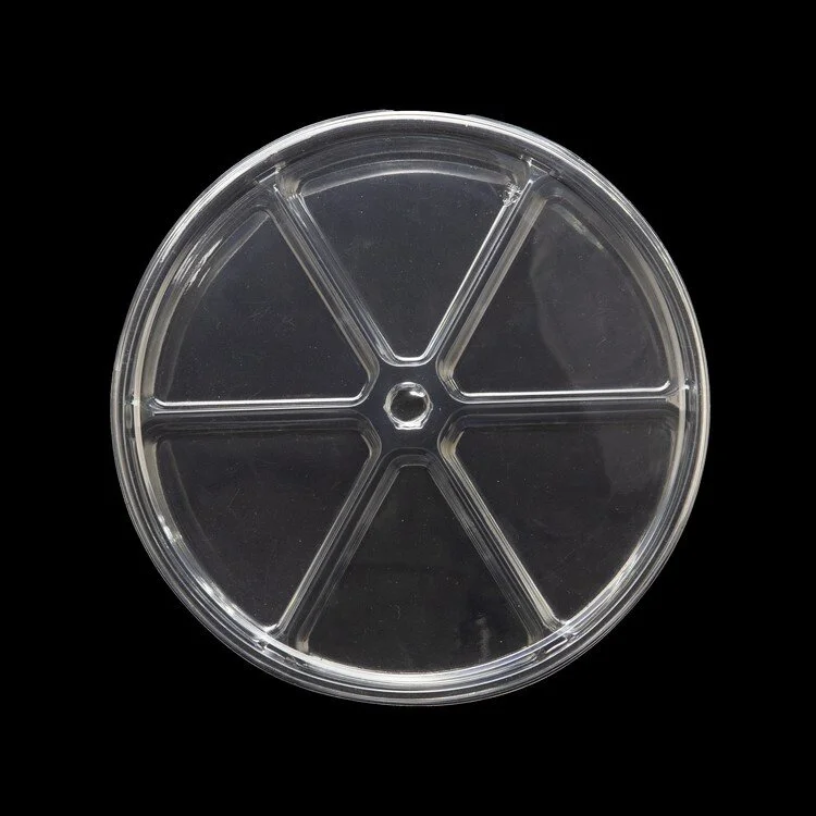BOX-PET-6P + LID-BOX-6P(a).JPG