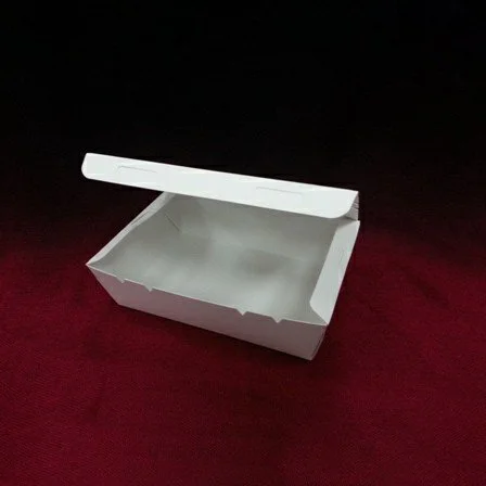 BOX-P-SKP-EX-S-W-1.JPG