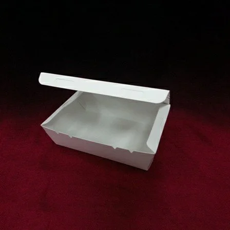 BOX-P-SKP-S-W-1.JPG
