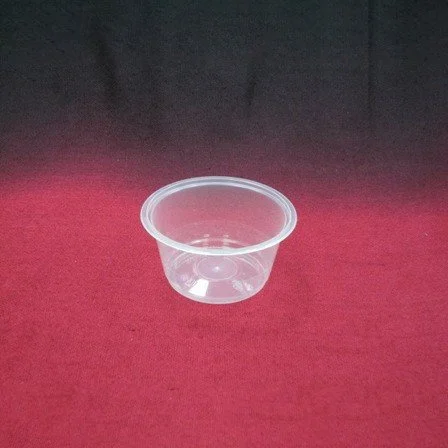 CUP-PLC-SKP-T5-1.JPG