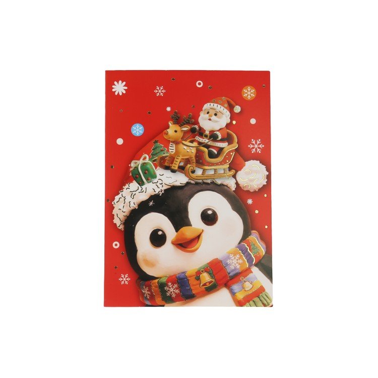 XMAS-CARD-300(1).JPG