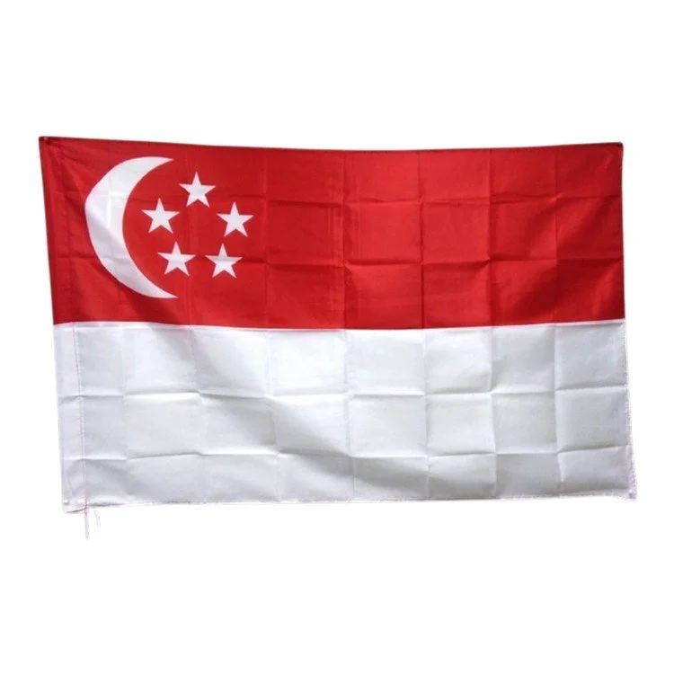 PW-FLAG-SG-480-P.JPG