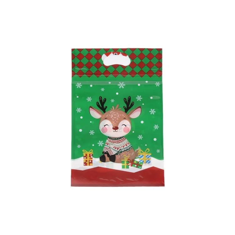 XMAS-BAG-270(2).JPG