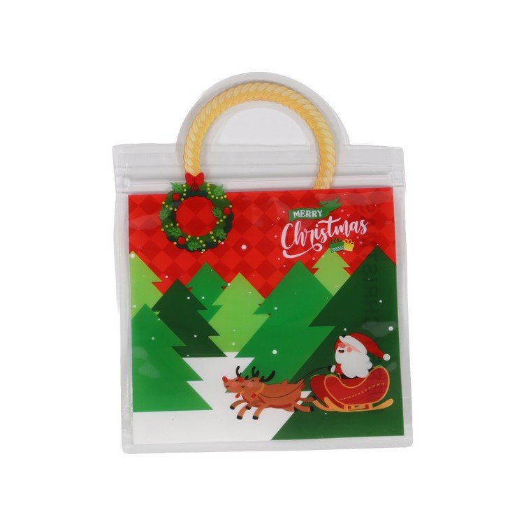 XMAS-BAG-290(1).JPG