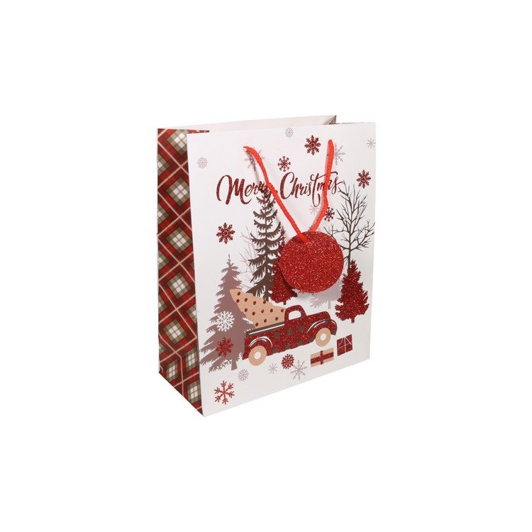 XMAS-PA-BAG-2732(3).JPG