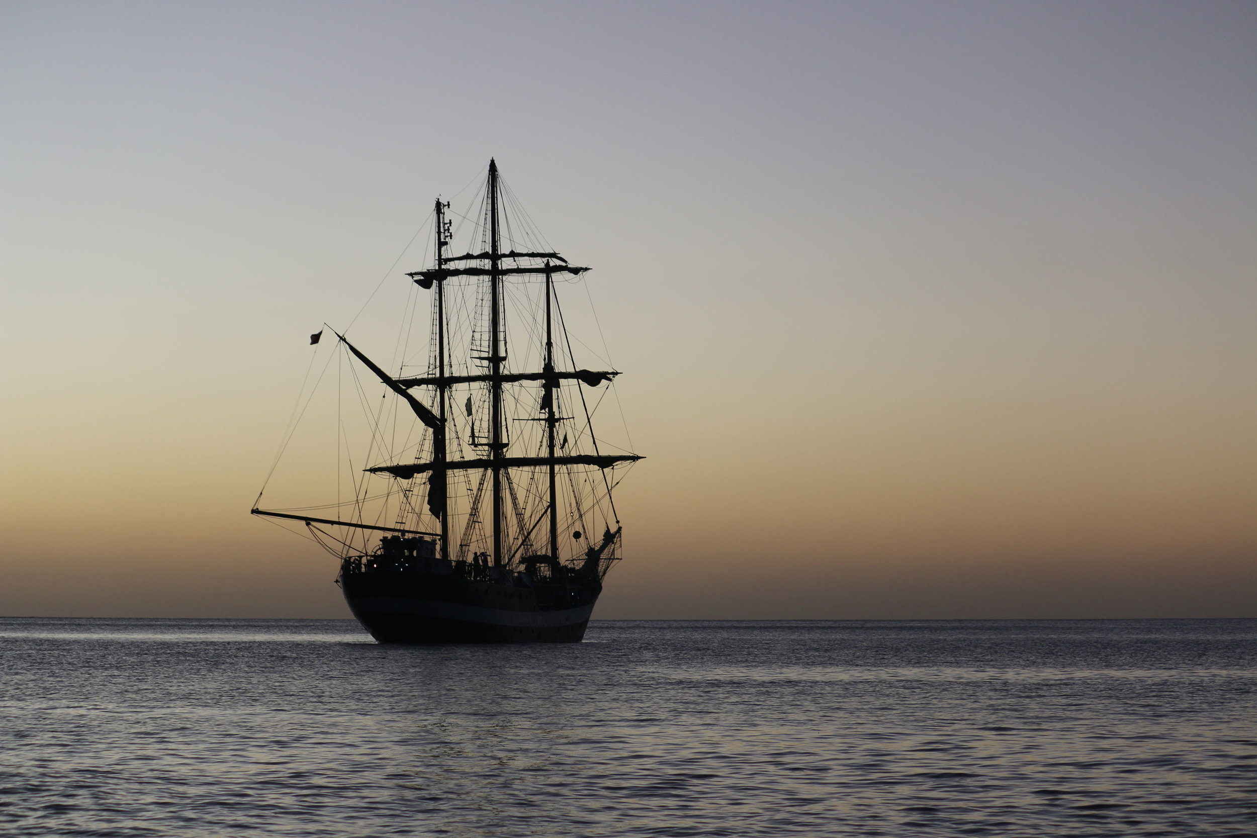 Pelican_Abend_.jpg
