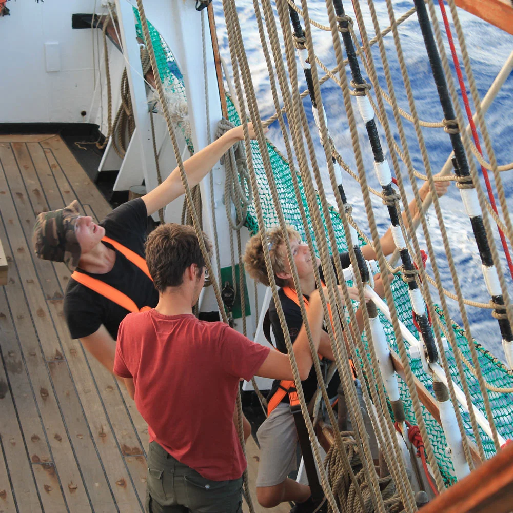 Arbeiten_Pelican_02_.jpg