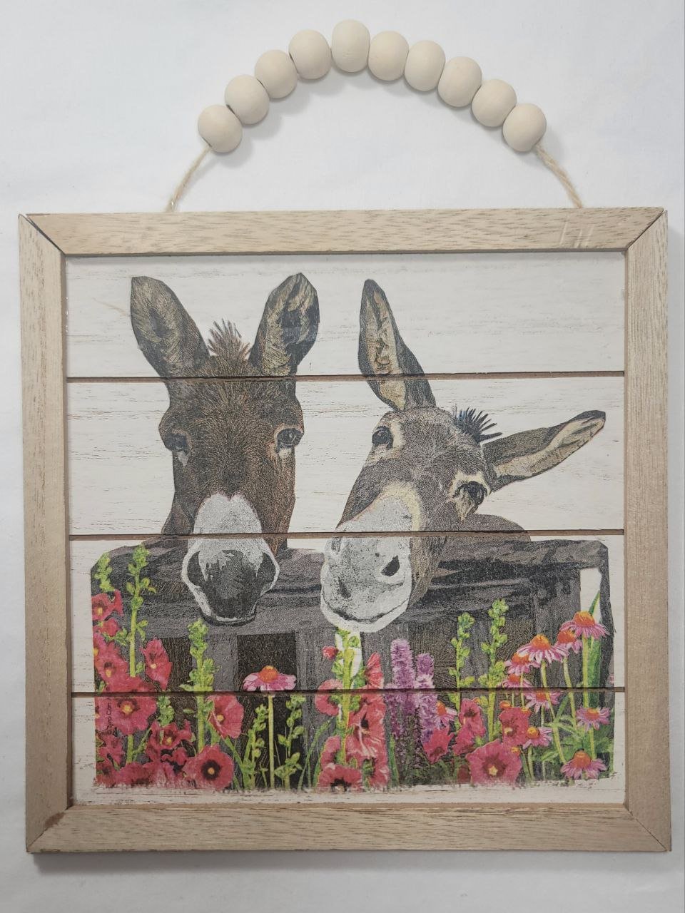 farmhouse donkey duo.jpg