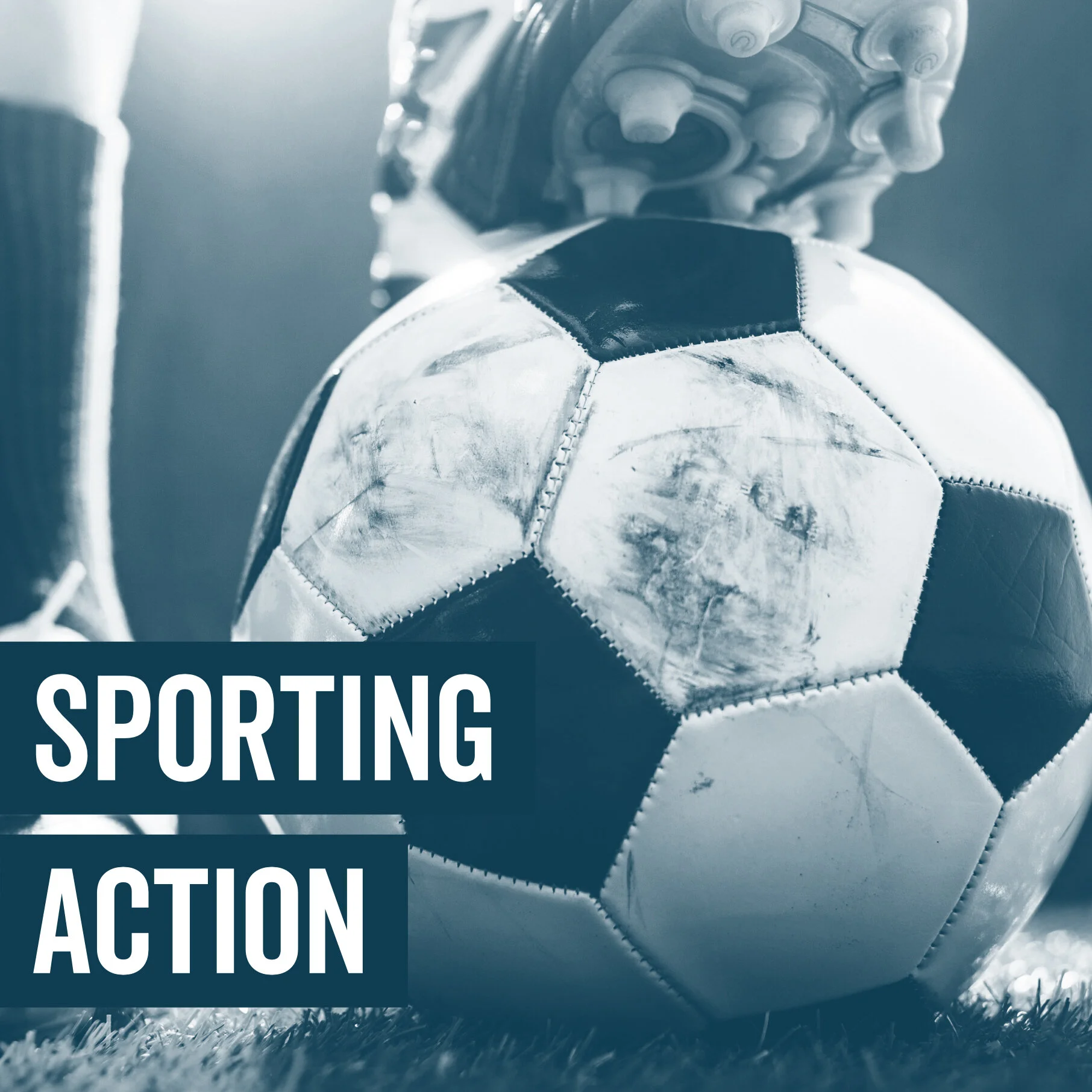 The Elm Park Tavern - Sports