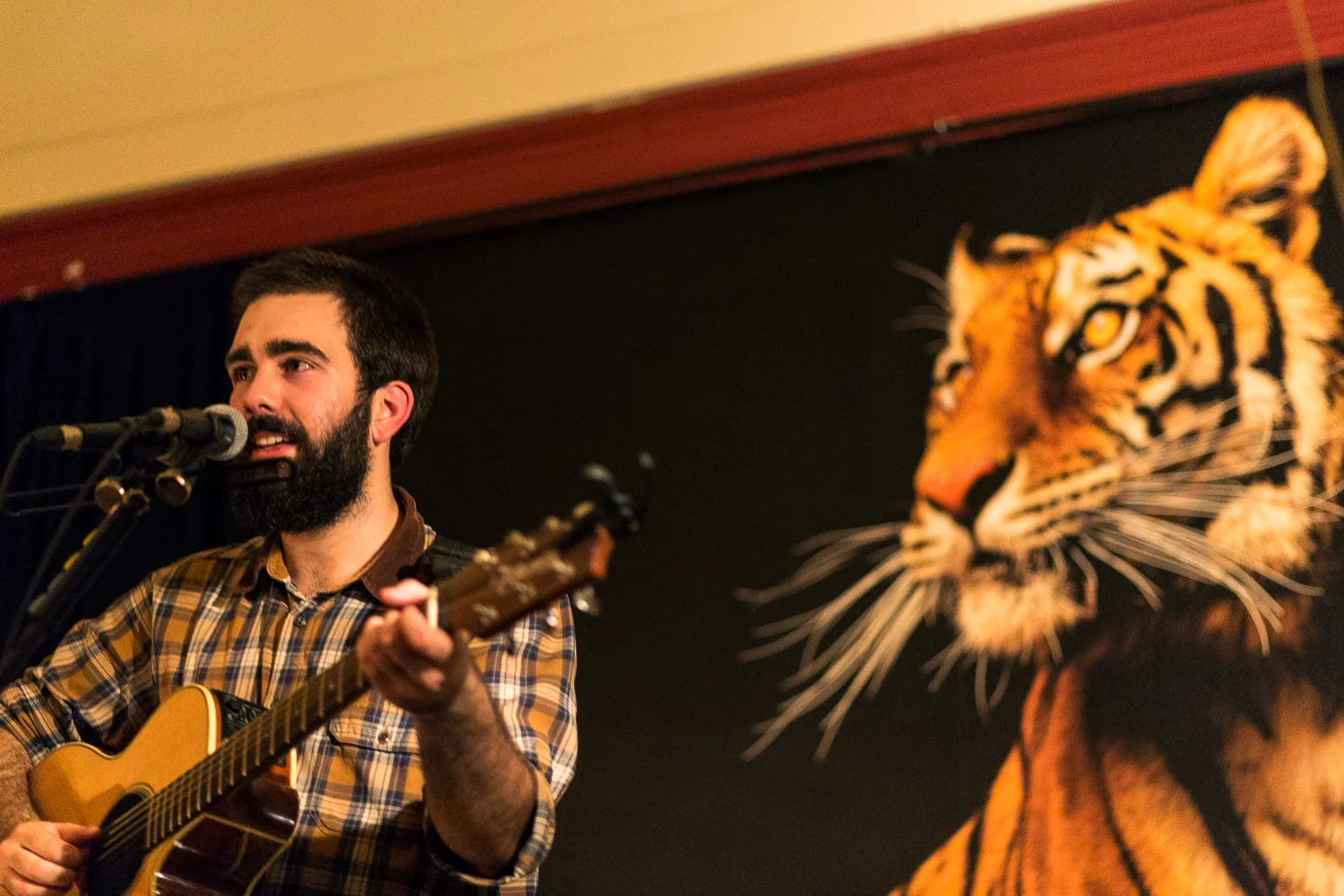  Gobi Bear, Casa Independente, 2014 