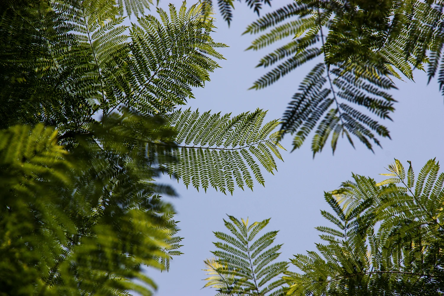 20100813_IMG_8992 by Zé Vidal.jpg