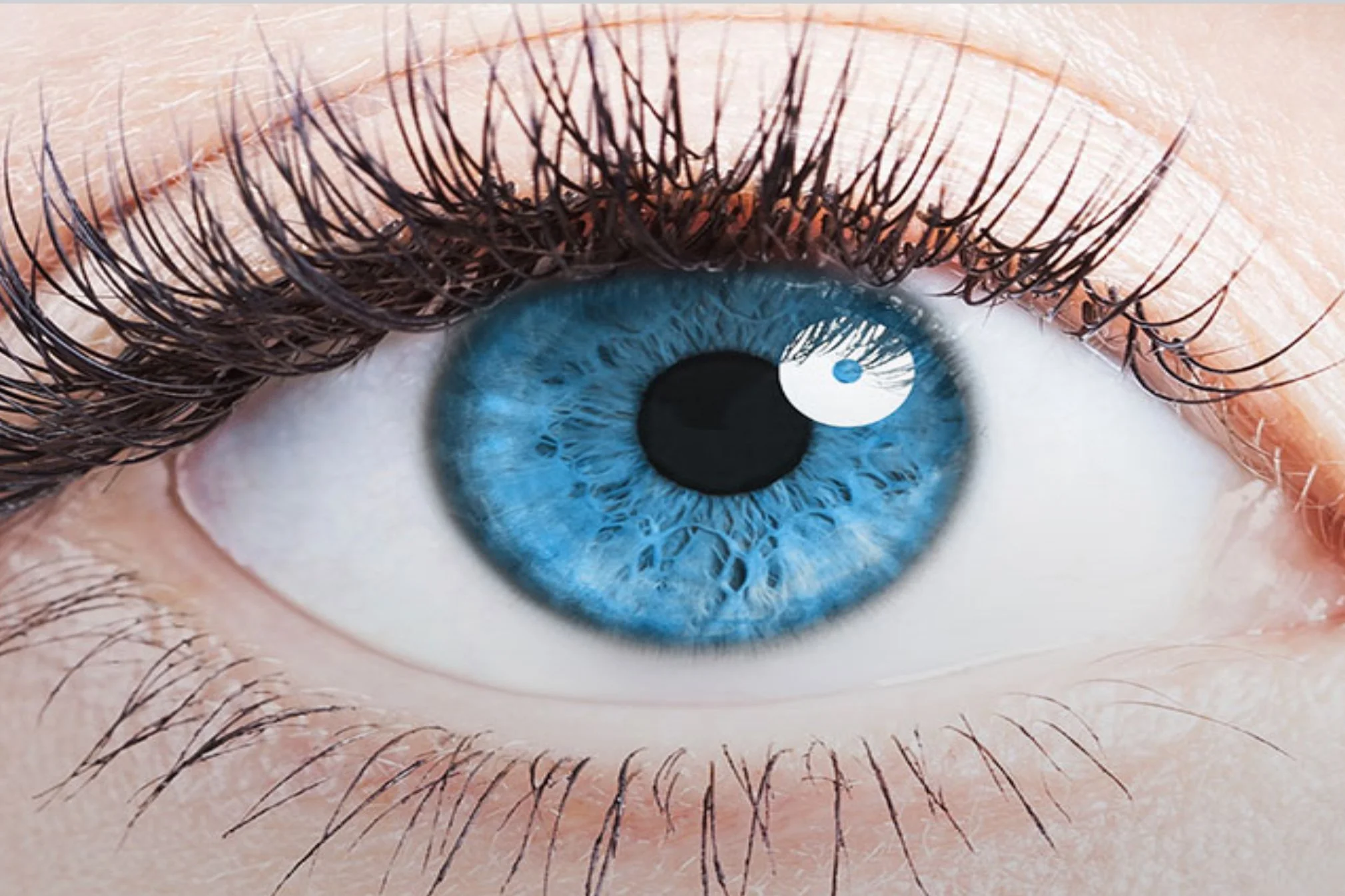 Seminar - Are You Seeing What I’m Seeing? Brain Chemistry and Vision