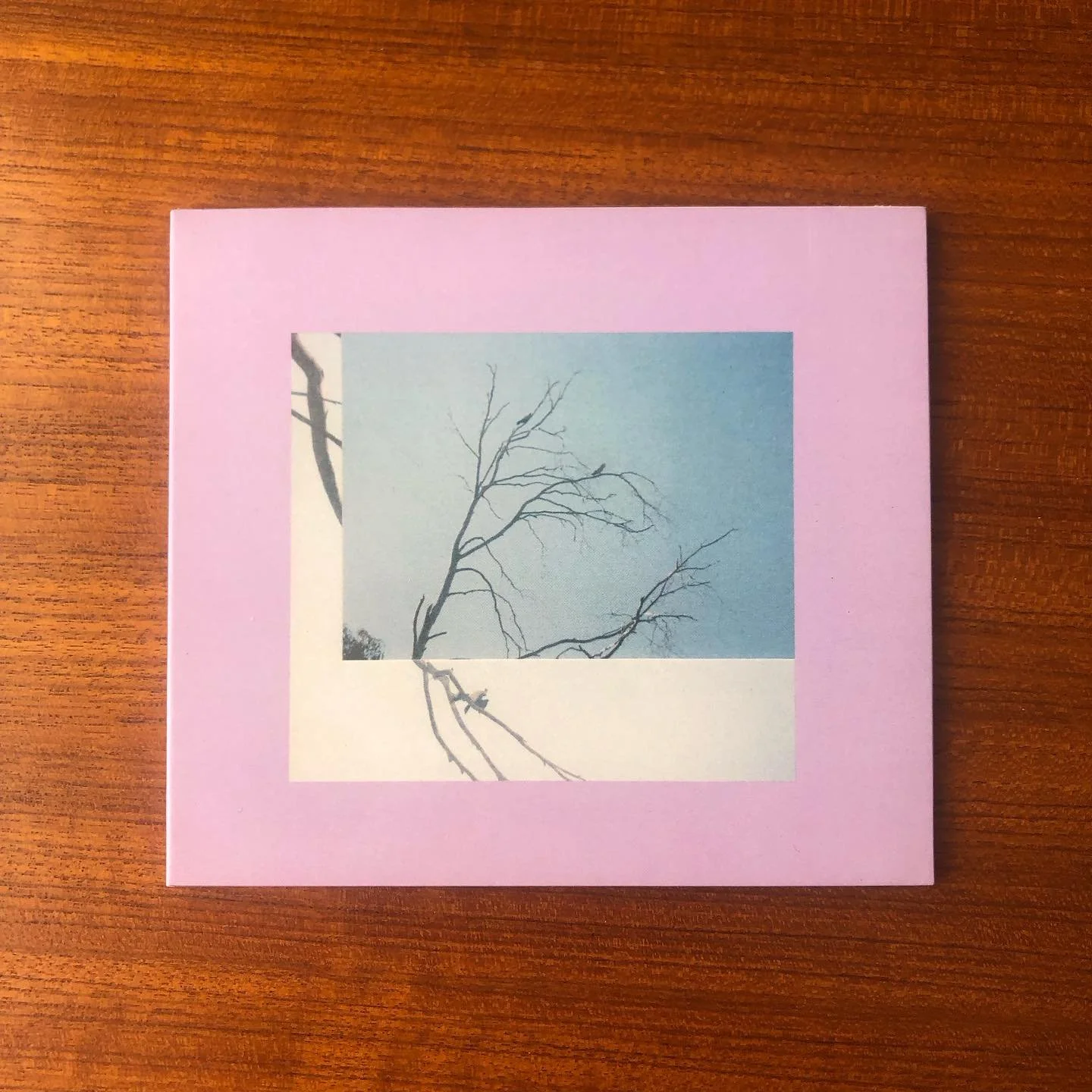 Announcing: my solo album &ldquo;Holy Trinity&rdquo; on Relative Pitch Records.
Pre-order available now. Releases on December 5th.

Holy Trinity is a collection of pieces crafted from improvisations with clarinet, speakers, tapes, tins, voice, small 