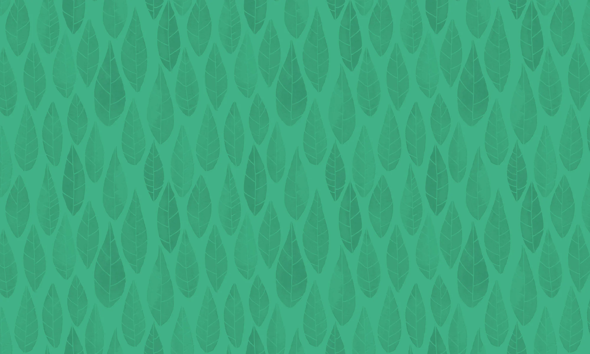 Gentle-Journeys-Birth-Center-Florida-Background.jpg